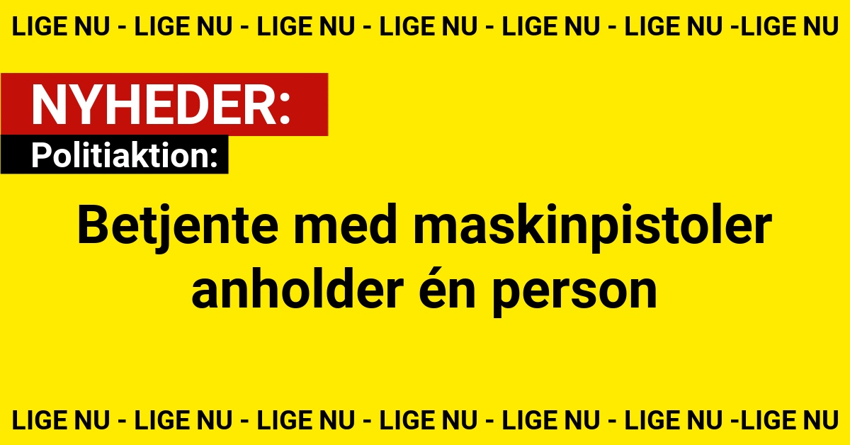 Politiaktion: Betjente med maskinpistoler anholder én person