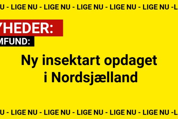 Her blev den fundet – en ny art i dansk natur