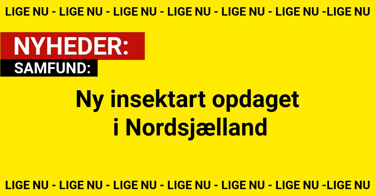 Her blev den fundet – en ny art i dansk natur