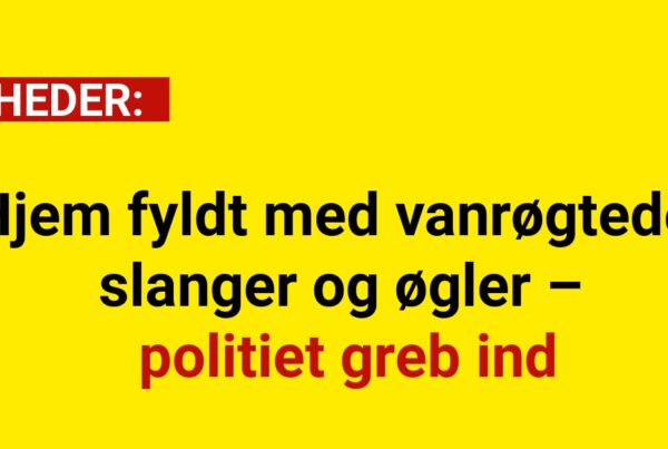Hjem fyldt med vanrøgtede slanger og øgler – politiet greb ind