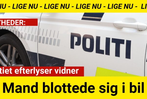 politiet efterlyser vidner