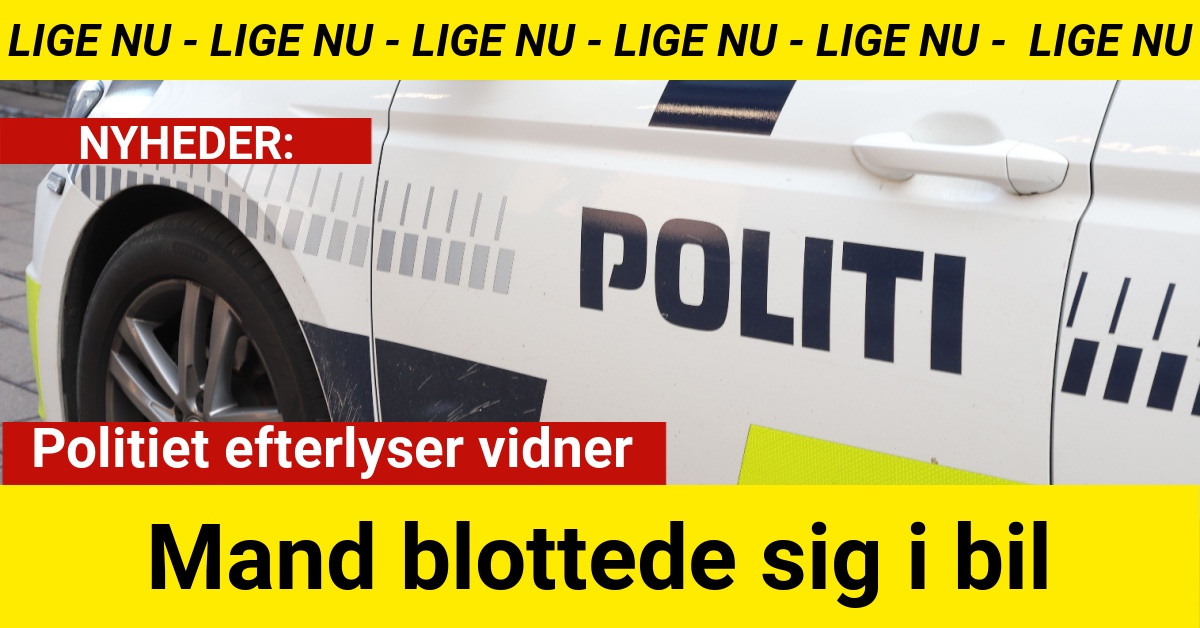 politiet efterlyser vidner