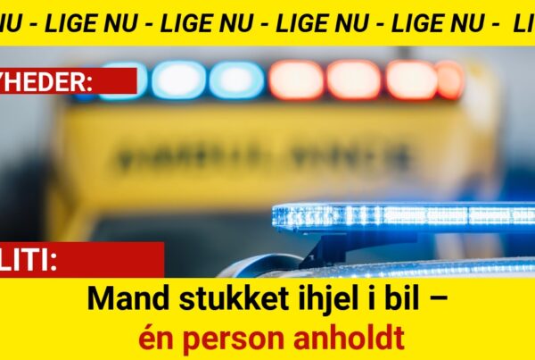 Mand stukket ihjel i bil – én person anholdt