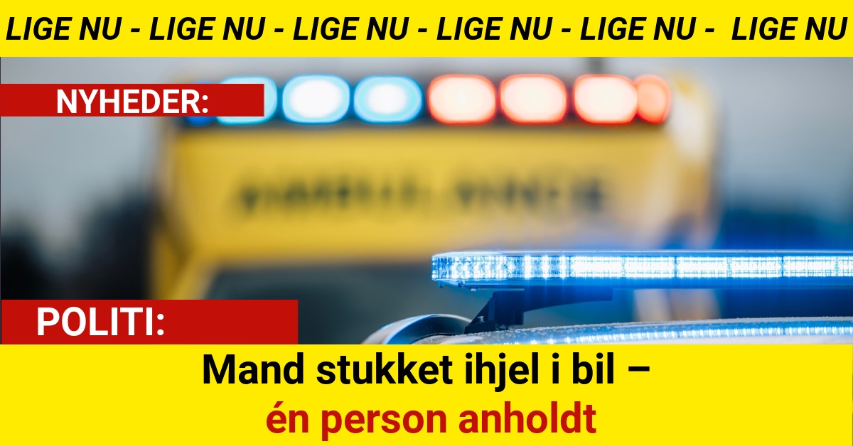 Mand stukket ihjel i bil – én person anholdt