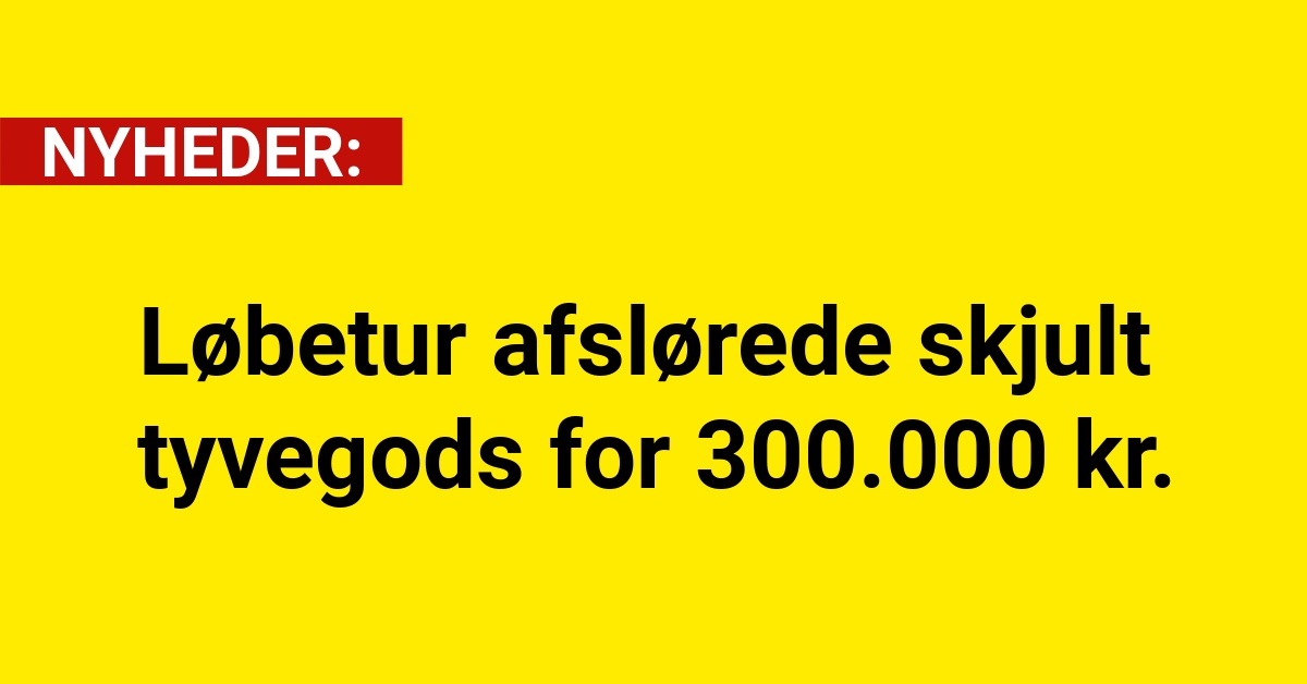Løbetur afslørede skjult tyvegods for 300.000 kr.