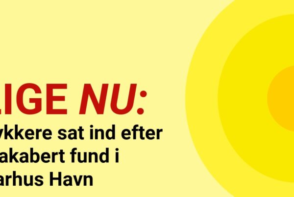 Dykkere sat ind efter makabert fund i Aarhus Havn