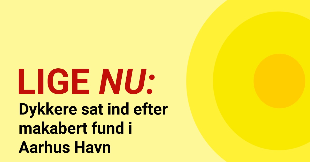Dykkere sat ind efter makabert fund i Aarhus Havn