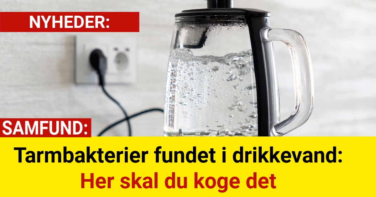 Tarmbakterier fundet i drikkevand: Her skal du koge det