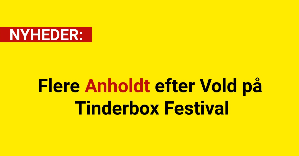Flere Anholdt efter Vold på Tinderbox Festival