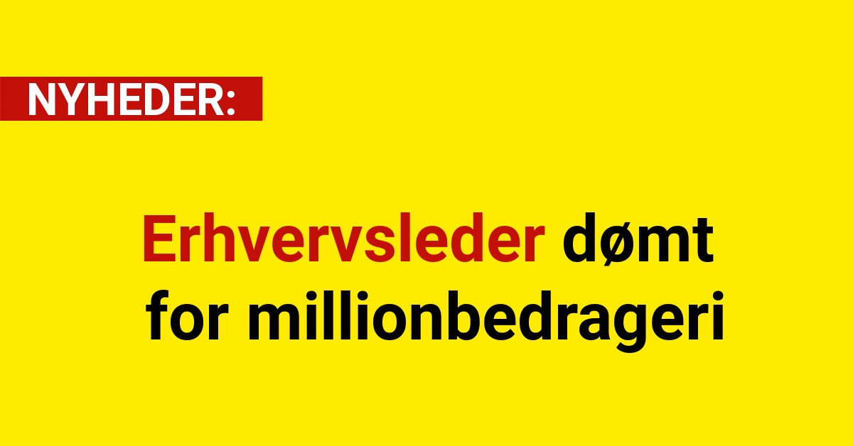 erhvervsleder dømt for millionbedrageri