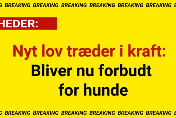 Nyt lov træder i kraft: Bliver nu forbudt for hunde