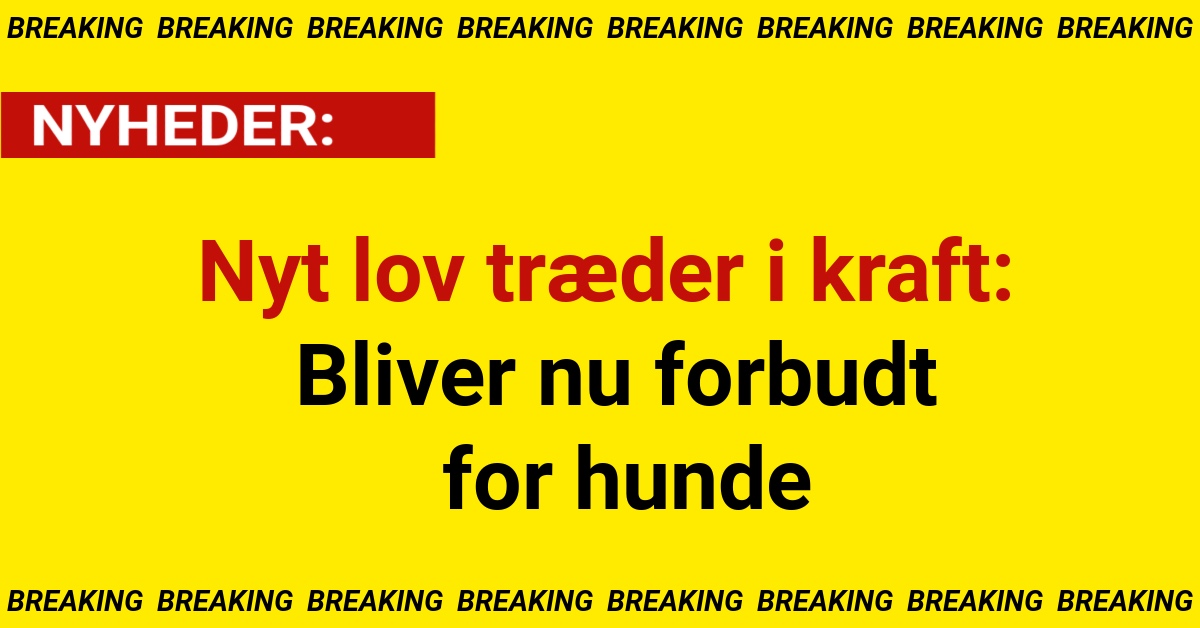 Nyt lov træder i kraft: Bliver nu forbudt for hunde