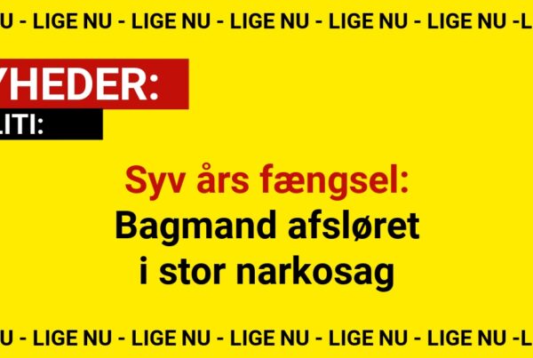 Syv års fængsel: Bagmand afsløret i stor narkosag
