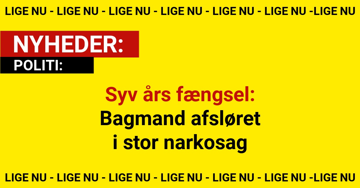 Syv års fængsel: Bagmand afsløret i stor narkosag