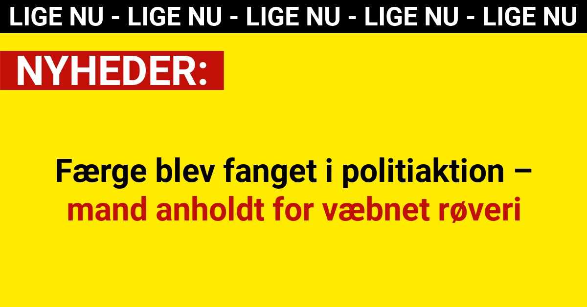 Færge blev fanget i politiaktion – mand anholdt for væbnet røveri