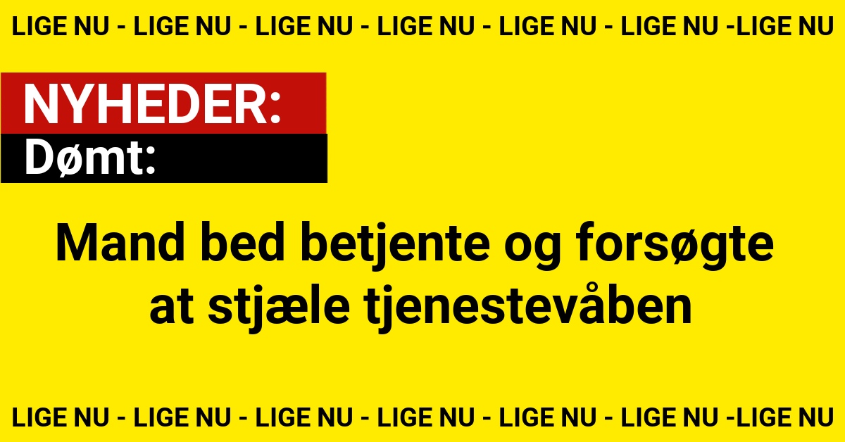 Dømt: Mand bed betjente og forsøgte at stjæle tjenestevåben