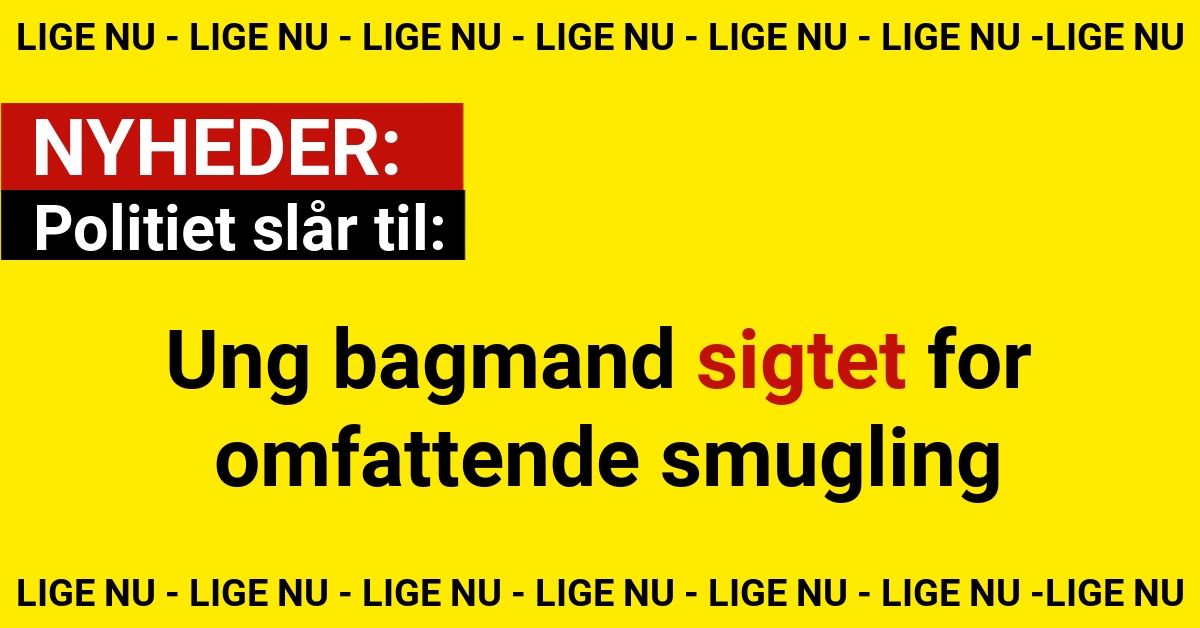 Politiet slår til: Ung bagmand sigtet for omfattende smugling