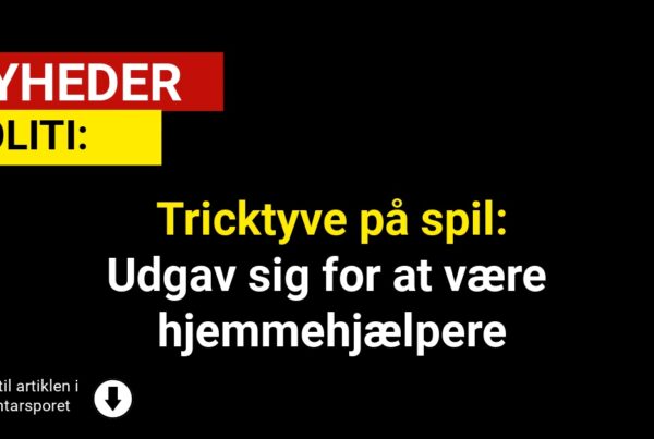Tricktyve på spil: Udgav sig for at være hjemmehjælpere