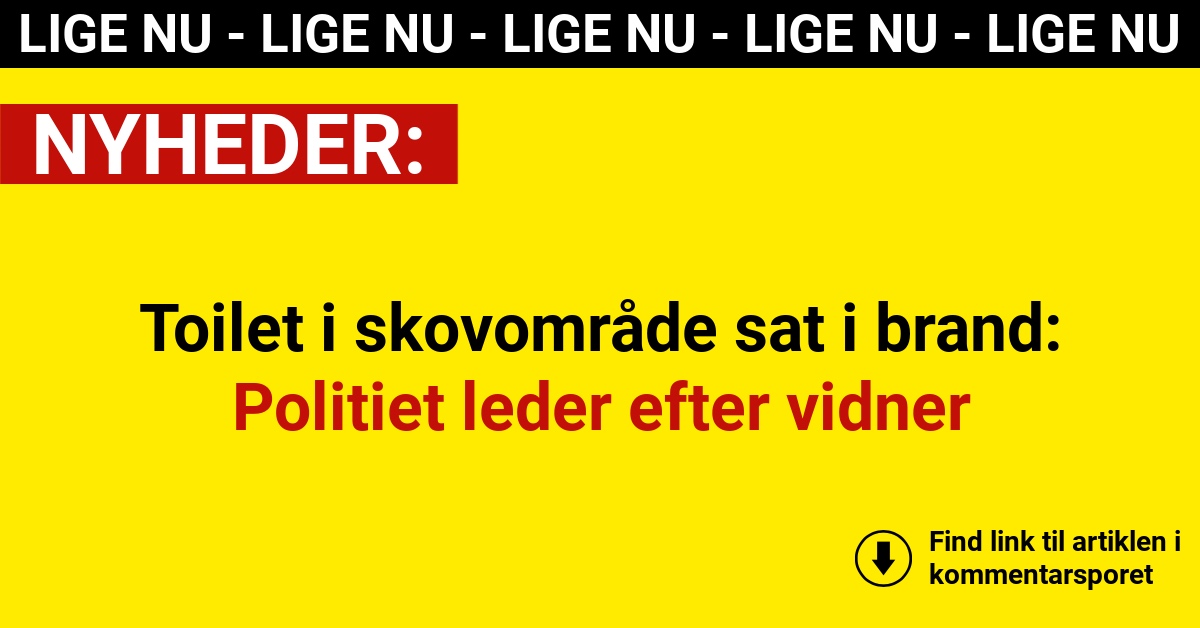 Toilet i skovområde sat i brand: Politiet leder efter vidner