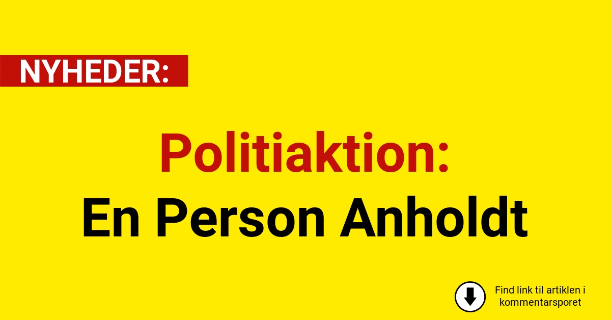 Politiaktion: En Person Anholdt