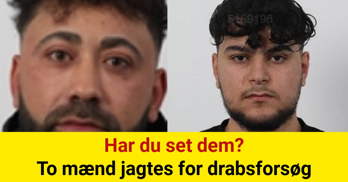 Har du set dem? To mænd jagtes for drabsforsøg