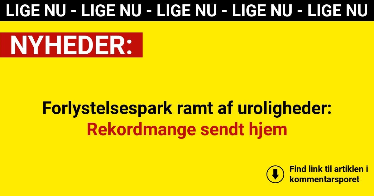 Forlystelsespark ramt af uroligheder: Rekordmange sendt hjem