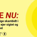 Fireårig pige skambidt i ansigtet - ejer sigtet og hund aflivet
