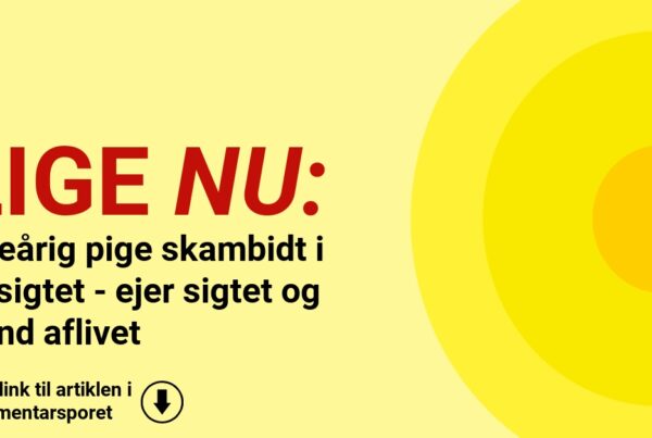 Fireårig pige skambidt i ansigtet - ejer sigtet og hund aflivet