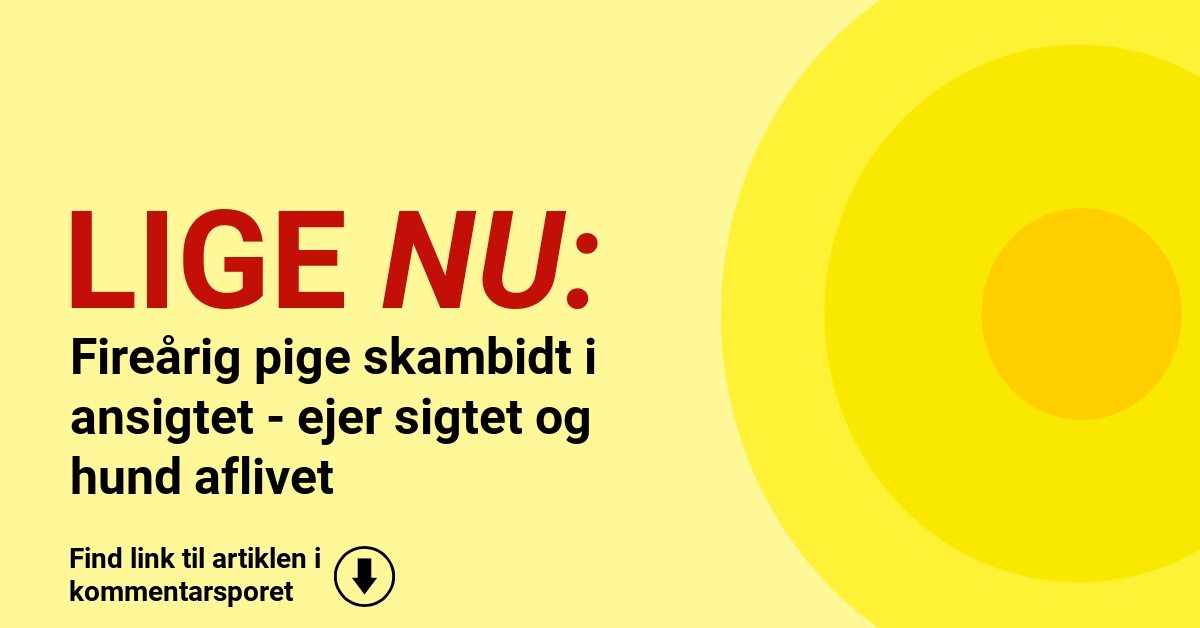 Fireårig pige skambidt i ansigtet - ejer sigtet og hund aflivet