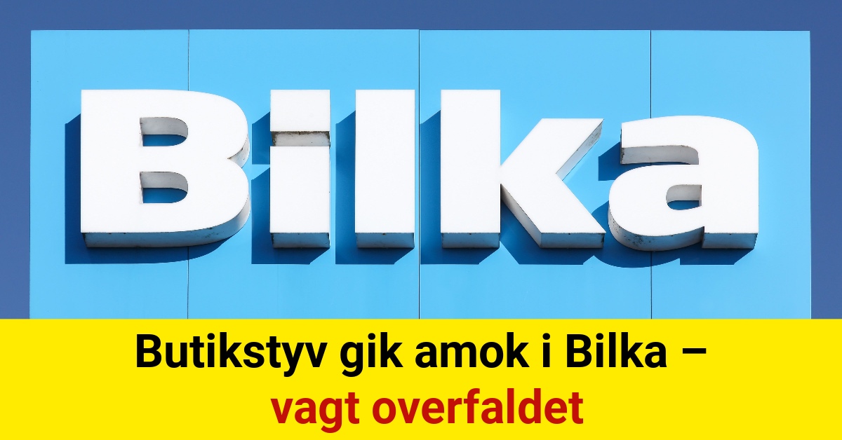 Butikstyv gik amok i Bilka – vagt overfaldet
