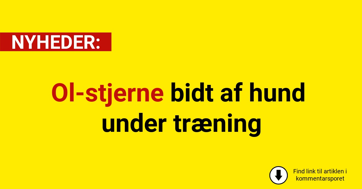 Ol-stjerne bidt af hund under træning