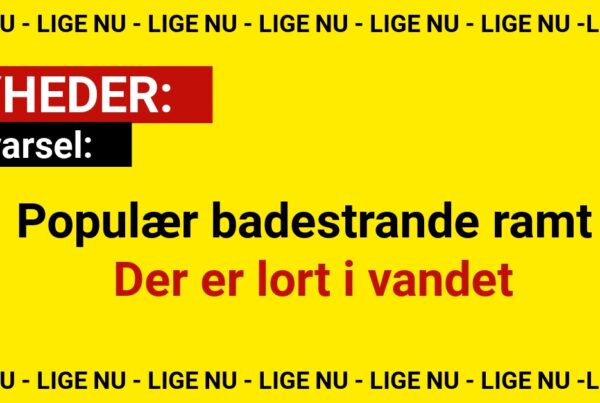 Advarsel: Populær badestrande ramt - Der er lort i vandet