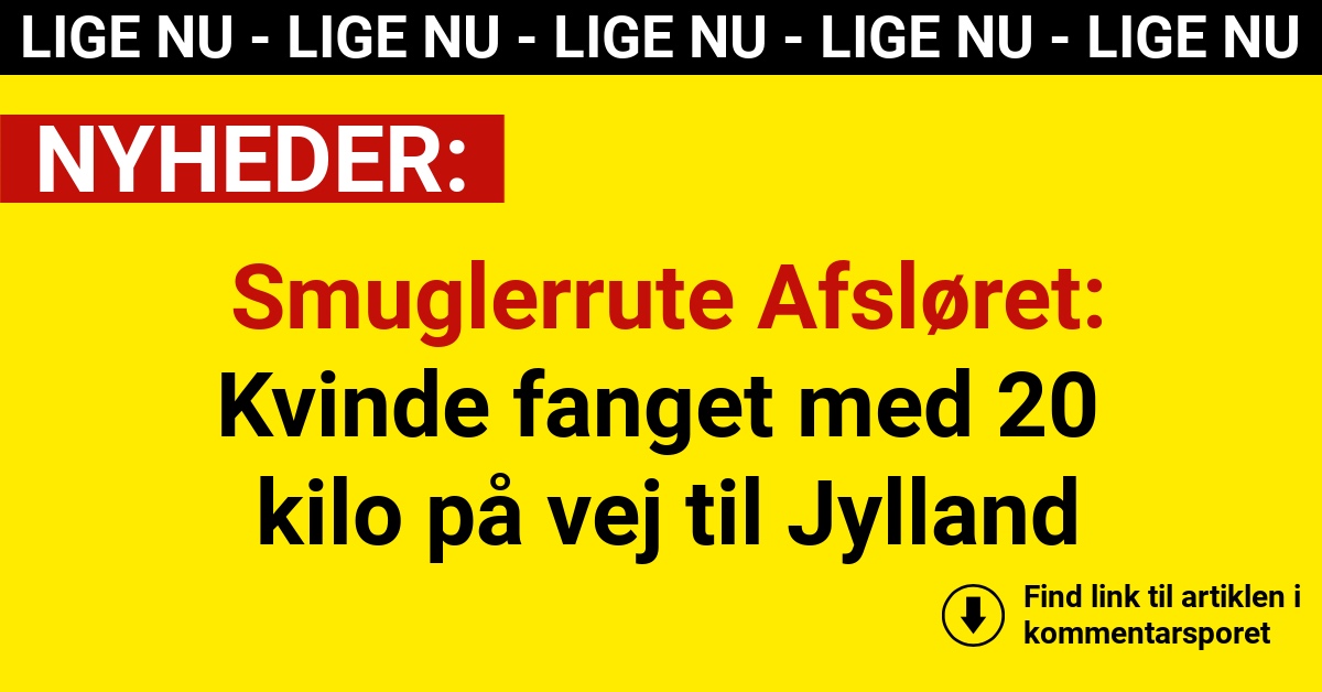 Smuglerrute Afsløret: Kvinde fanget med 20 kilo på vej til Jylland