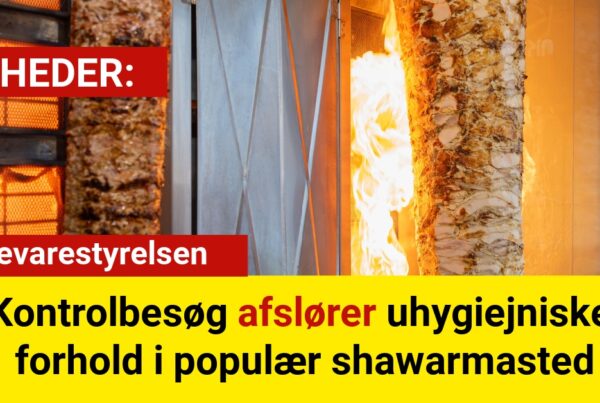 Kontrolbesøg afslører uhygiejniske forhold i populær shawarmastedKontrolbesøg afslører uhygiejniske forhold i populær shawarmasted