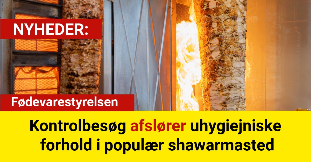 Kontrolbesøg afslører uhygiejniske forhold i populær shawarmastedKontrolbesøg afslører uhygiejniske forhold i populær shawarmasted