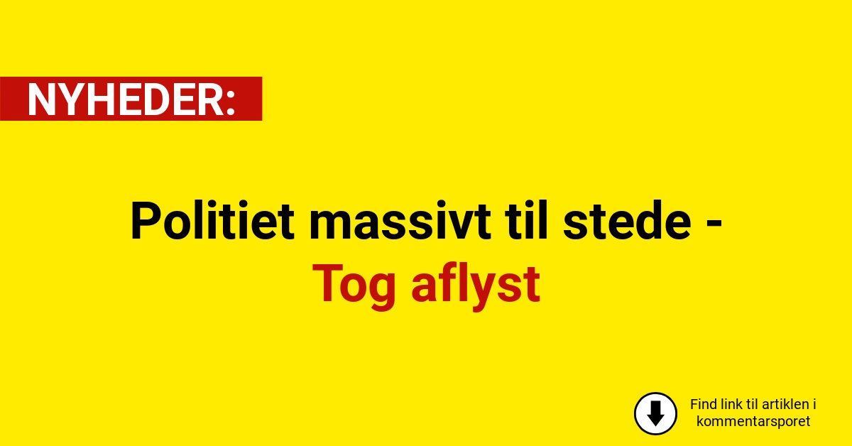 Politiet massivt til stede - Tog aflyst
