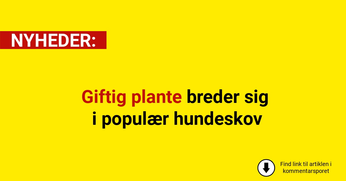 Giftig plante breder sig i populær hundeskov