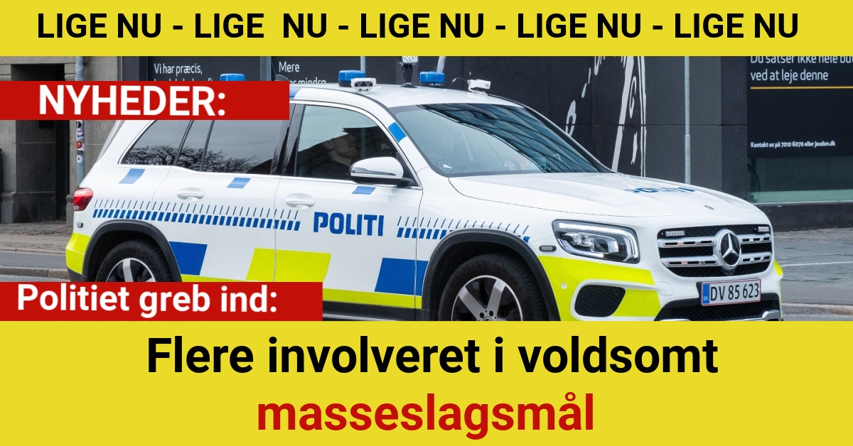 Politiet greb ind: Flere involveret i voldsomt masseslagsmål
