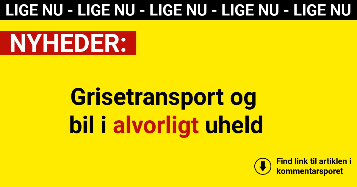 Grisetransport og bil i alvorligt uheld
