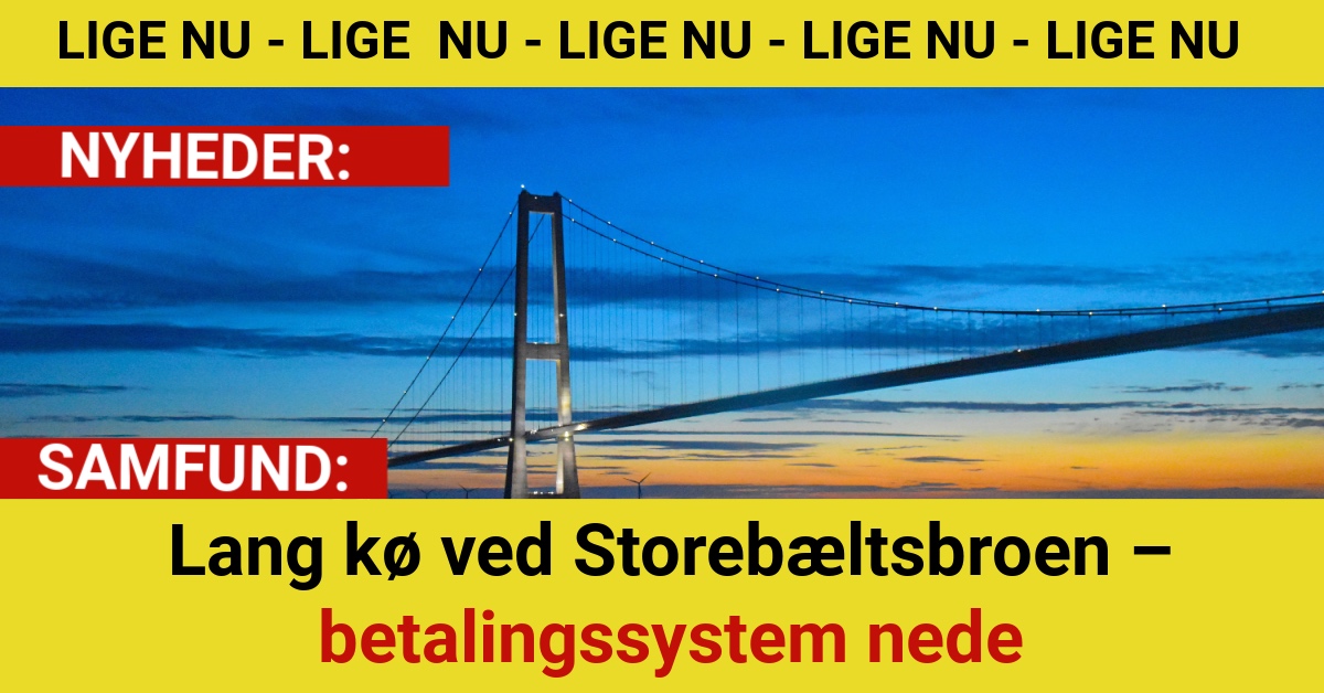 Lang kø ved Storebæltsbroen – betalingssystem nede