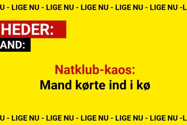 Natklub-kaos: Mand kørte ind i kø