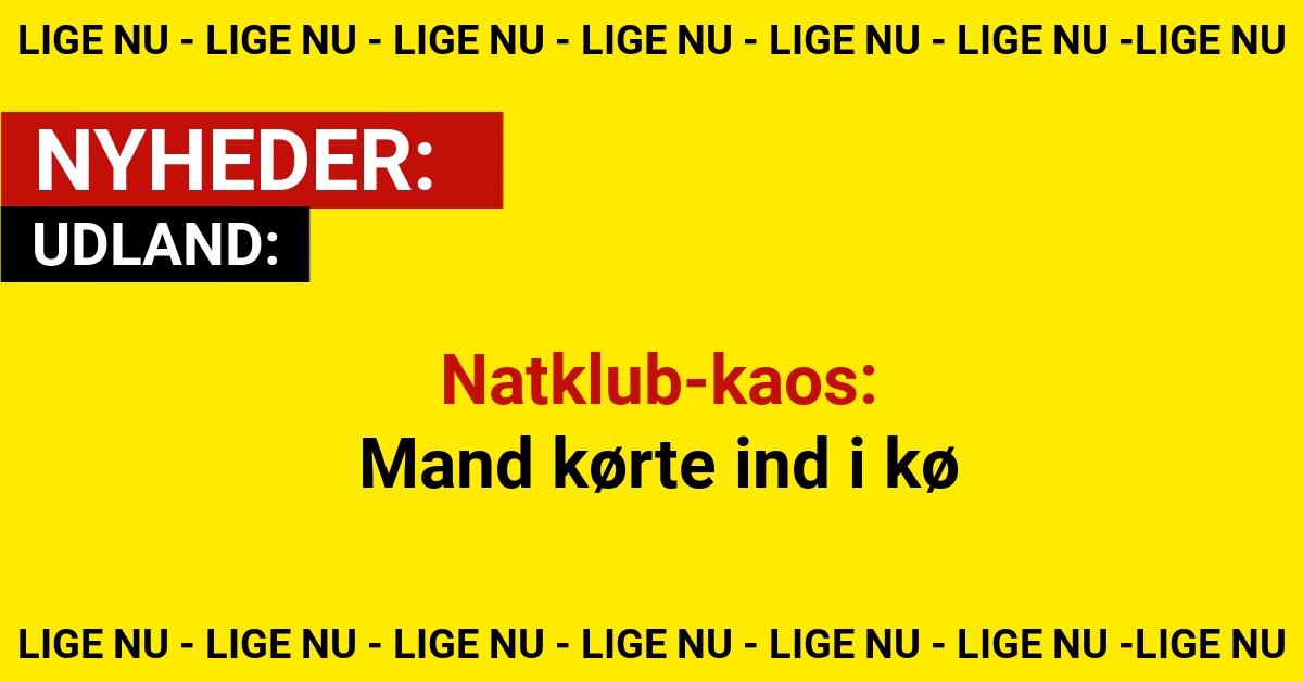 Natklub-kaos: Mand kørte ind i kø