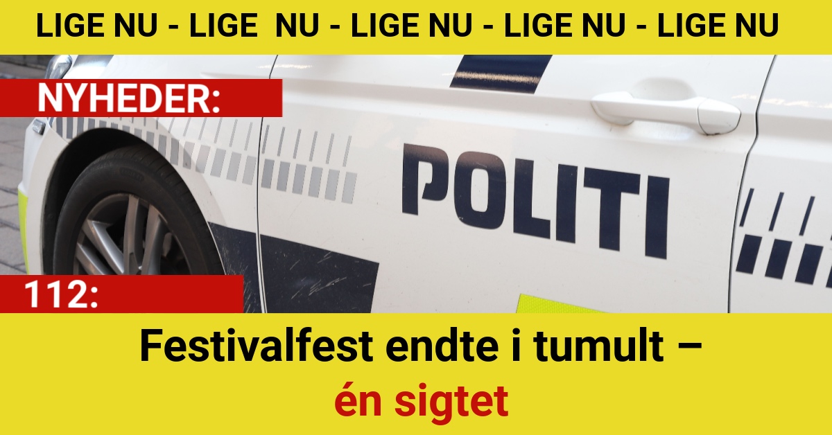 Festivalfest endte i tumult – én sigtet