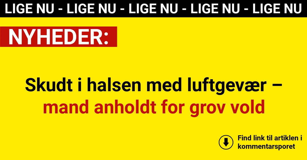 Skudt i halsen med luftgevær – mand anholdt for grov vold