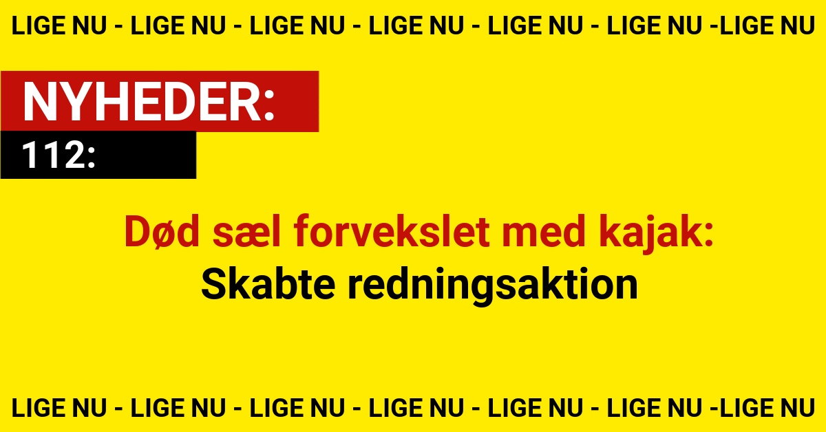 Død sæl forvekslet med kajak: Skabte redningsaktion