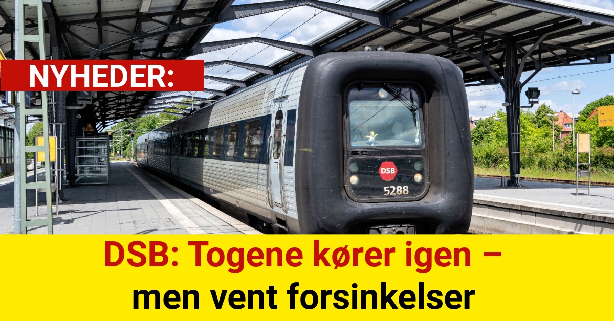 DSB: Togene kører igen – men vent forsinkelser