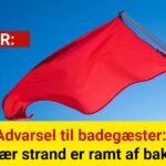 Advarsel til badegæster: Populær strand er ramt af bakterier