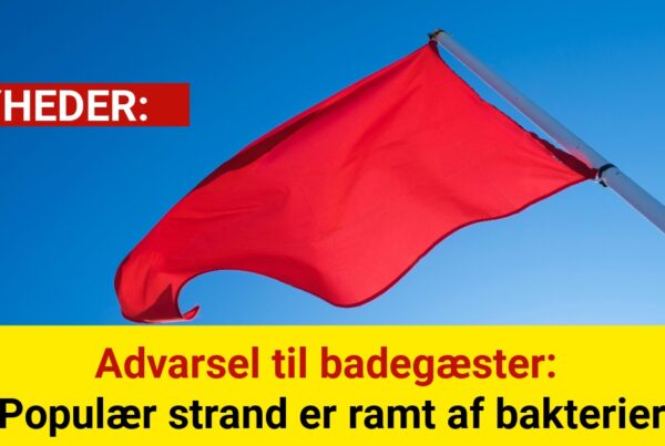 Advarsel til badegæster: Populær strand er ramt af bakterier