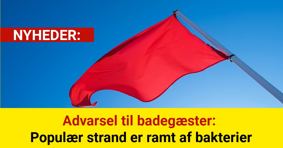 Advarsel til badegæster: Populær strand er ramt af bakterier