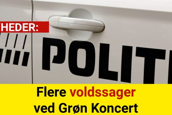 Flere voldssager ved Grøn Koncert